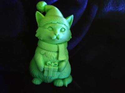 Birma Cat