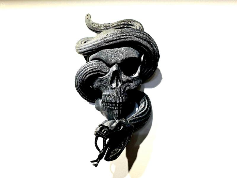 Snake Thru Skull - Wall Display