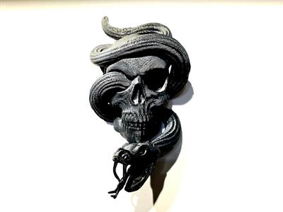 Snake Thru Skull - Wall Display