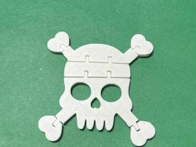 Flexi Cross and Bones Skeleton
