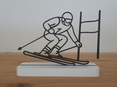 Skier
