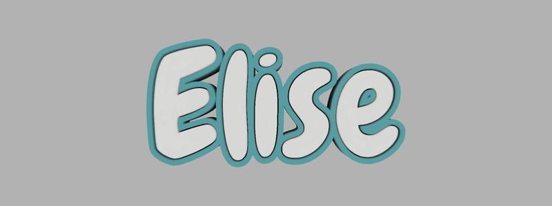two-tone key ring - Elise