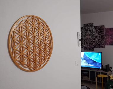 Giant flower of life
