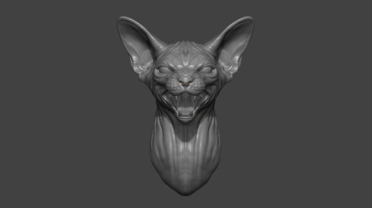Sphinx cat grin