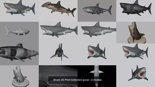 Shark 3D Print Collection great
