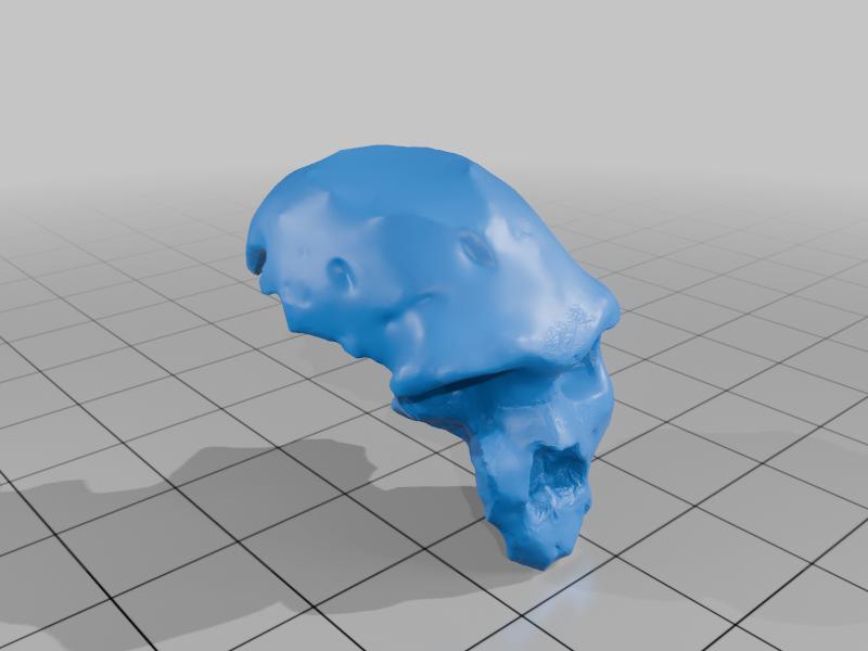 Bodo - Homo  heidelbergensis remix