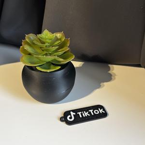 TIKTOK KEYCHAIN