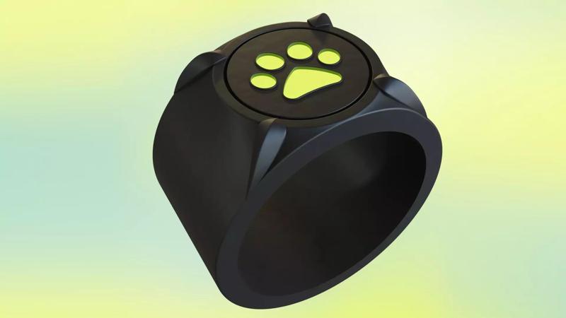 Cat noir ring  cosplay  LADYBUG