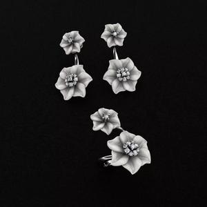 Ring and Earrings 3D print model