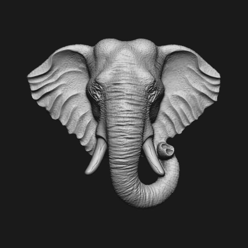 Elephant head High relief