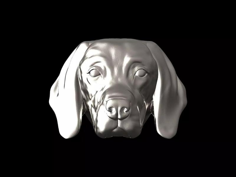 English Pointer bas relief for medaillon