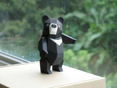 Formosan Black Bear