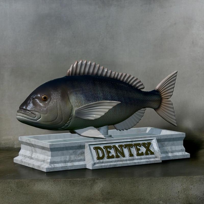 fish Common dentex / dentex dentex statue detailed texture for 3d printing