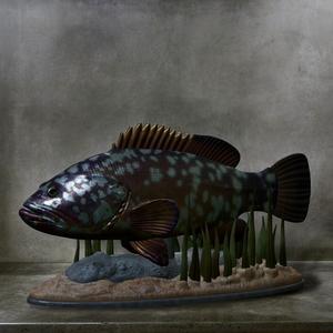 fish dusky grouper / Epinephelus marginatus statue underwater detailed texture for 3d printing
