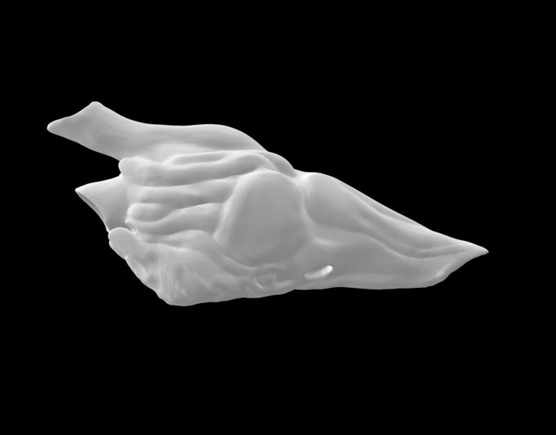 Velociraptor Resonating Chamber w/ Aztec Death Whistle