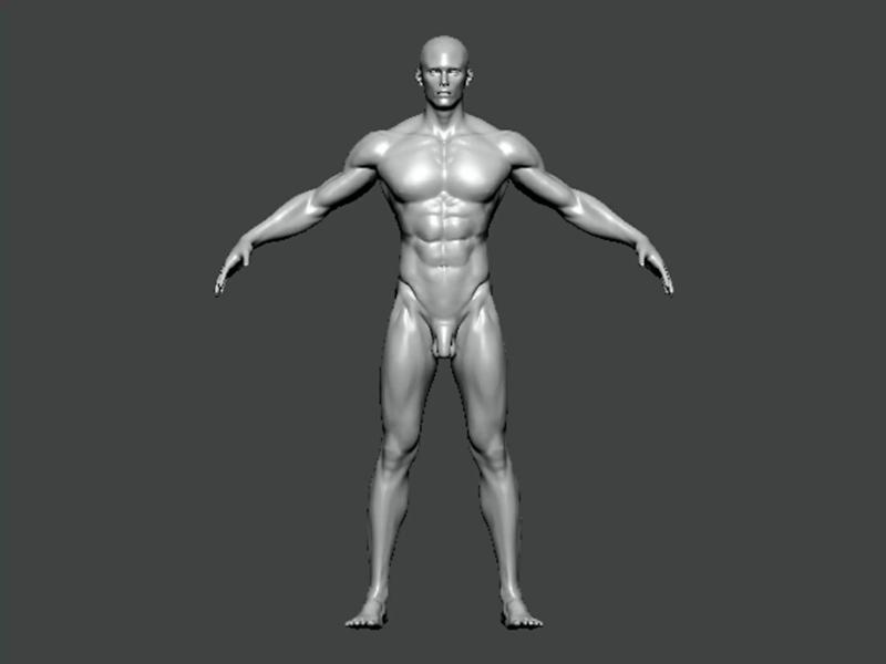 3D Model-ANATOMY0009 male mannequin