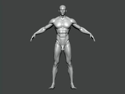 3D Model-ANATOMY0009 male mannequin