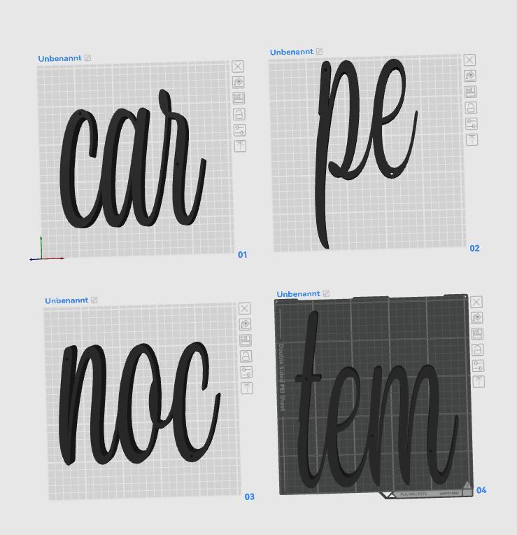 Wandschrift "Carpe noctem"