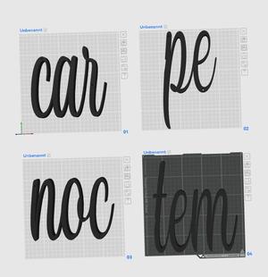 Wandschrift "Carpe noctem"