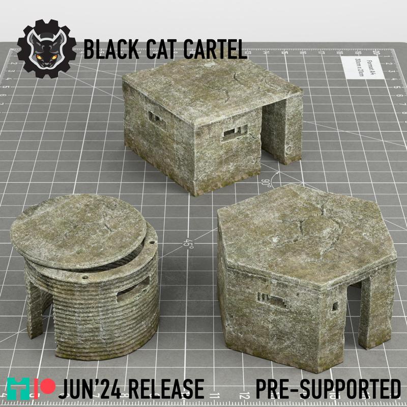 WW2 GB Pillboxes FW3