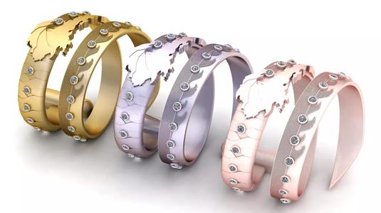 stylized rings with a global