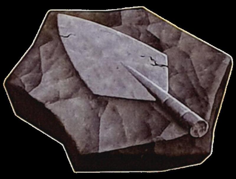 Fossil Plume / Plume Fossil