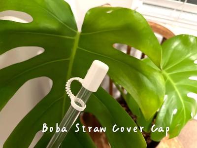 Boba and Smoothie Straw Cover Cap