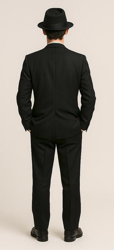 The Blues Brothers Elwood Blues