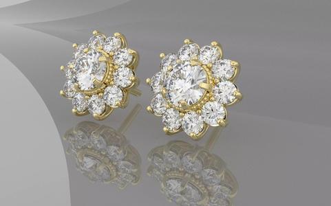 Stud Earring
