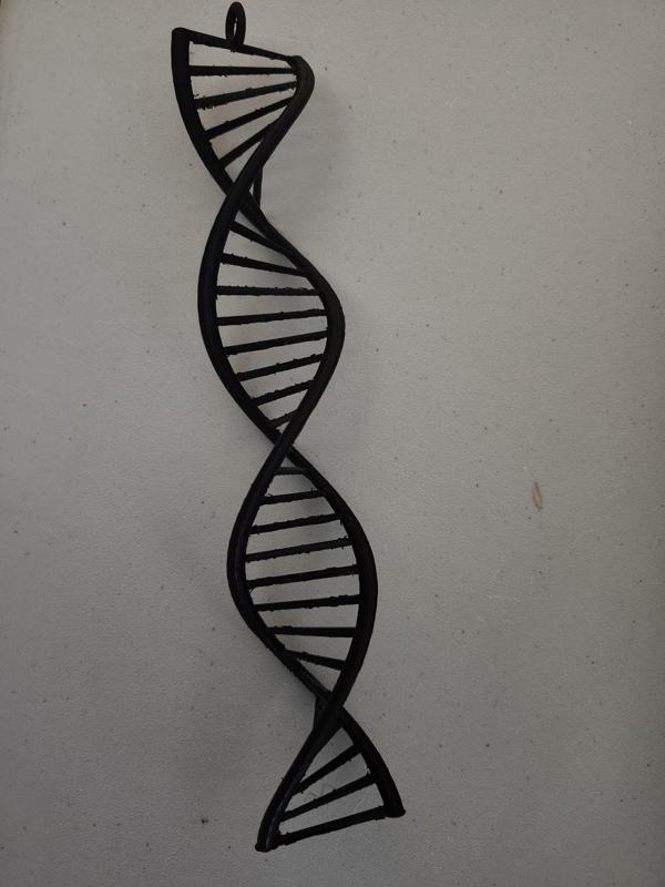 DNA-Helix