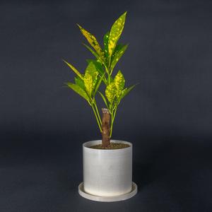 Minimalistic pot with drainage capabilities.