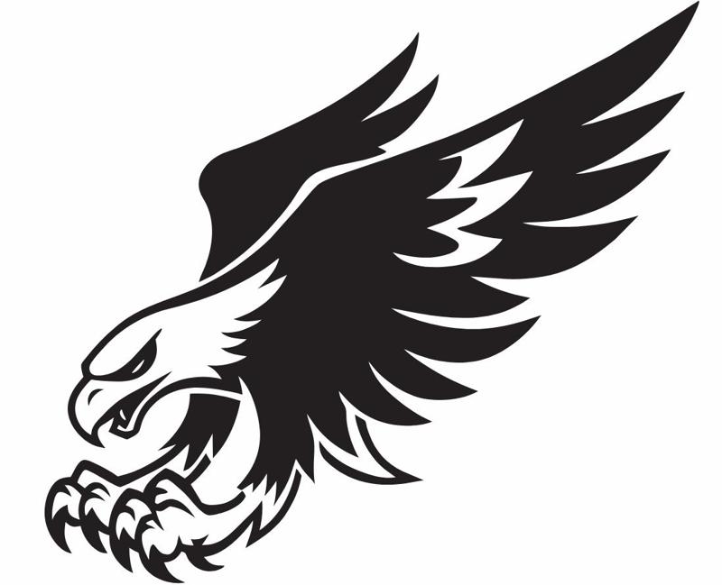 Bald eagle chasing his prey