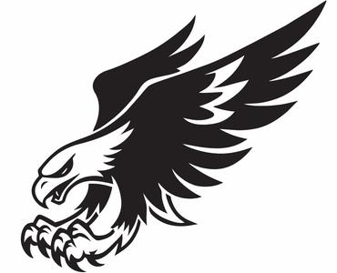 Bald eagle chasing his prey