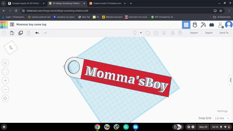 Momma's Boy name tag