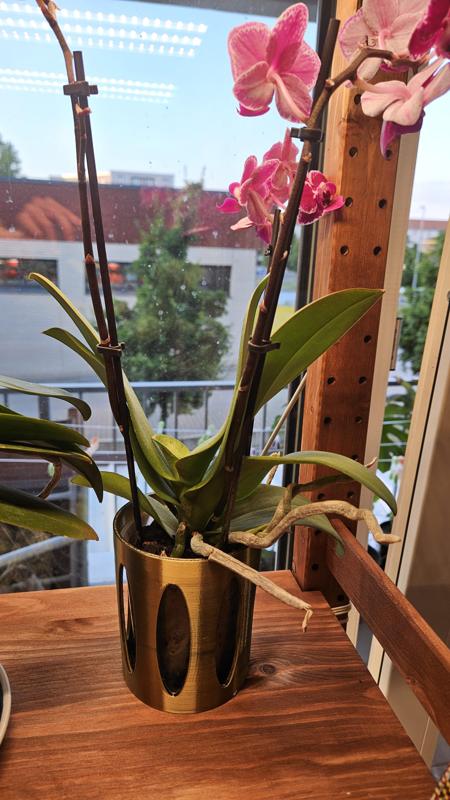 Cat proof orchid pot