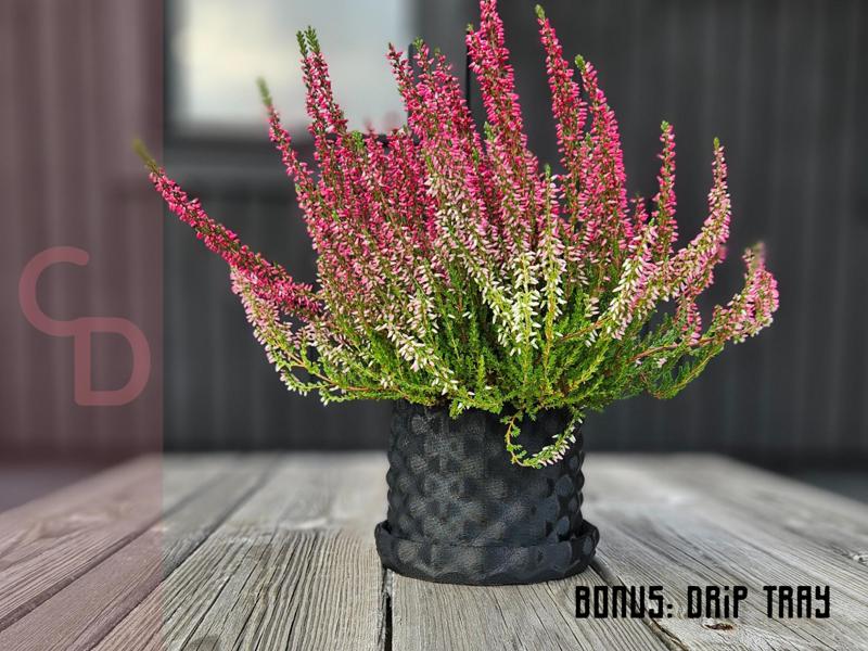 Ultimate Modern Elegance: Bubbles flower pot