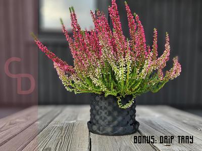 Ultimate Modern Elegance: Bubbles flower pot