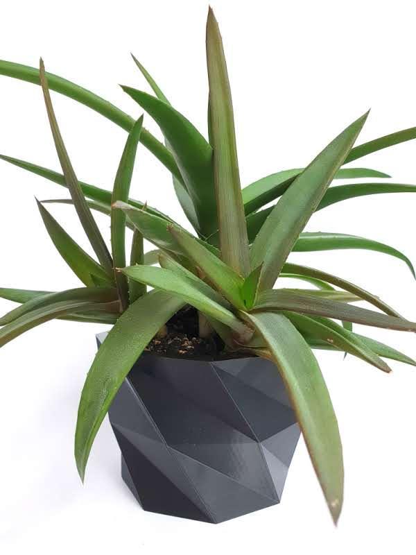 Geometric plant pot