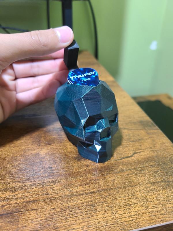 Skull Pick/Plectrum Storage