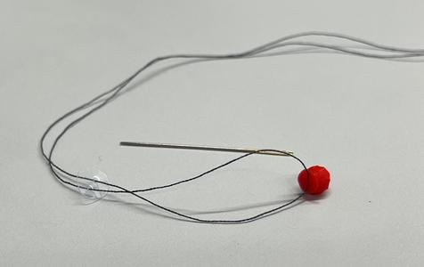 Gastrointestinal Polyp Model