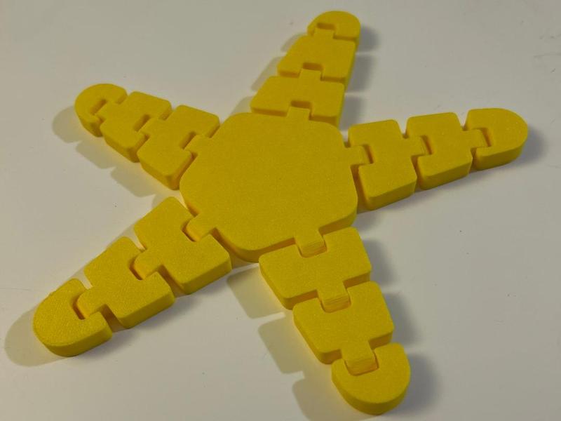 Articulated Star