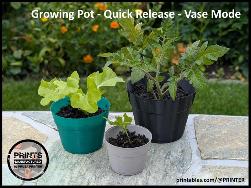 Growing Pot - Quick Release - Vase Mode