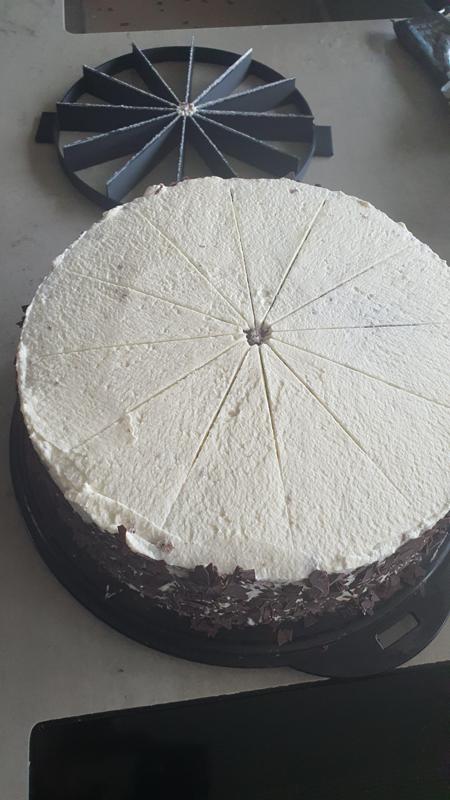 cake slicer - Kuchenteiler