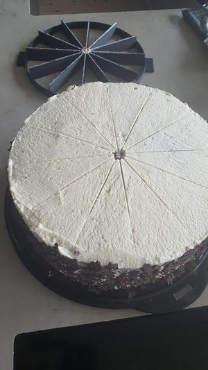 cake slicer - Kuchenteiler