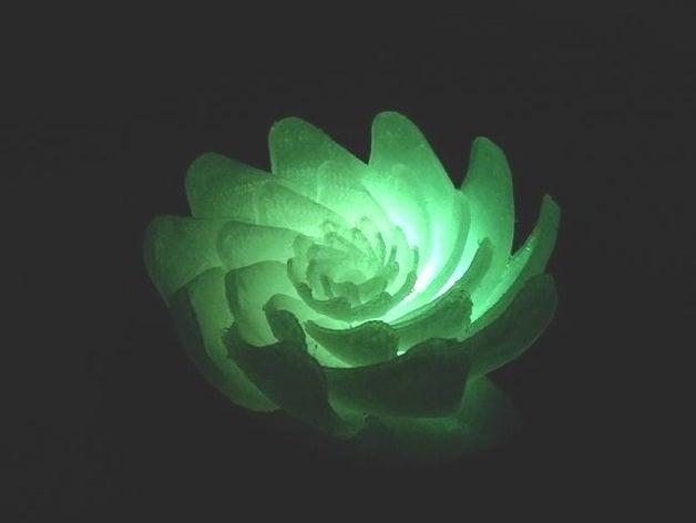 Lotus-like flower