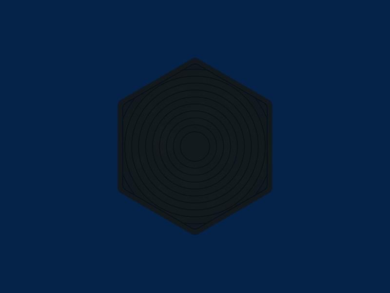 C04. Eiji Coaster - Hexagon 04 - Concentrated Circles