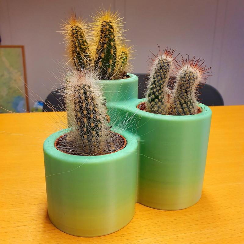Cactus pot x3