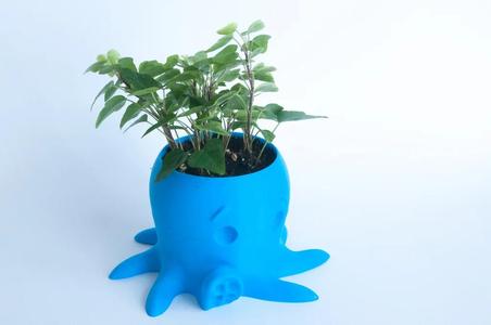 Květináč Chobotnice