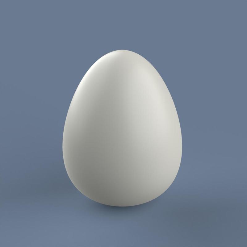 Egg