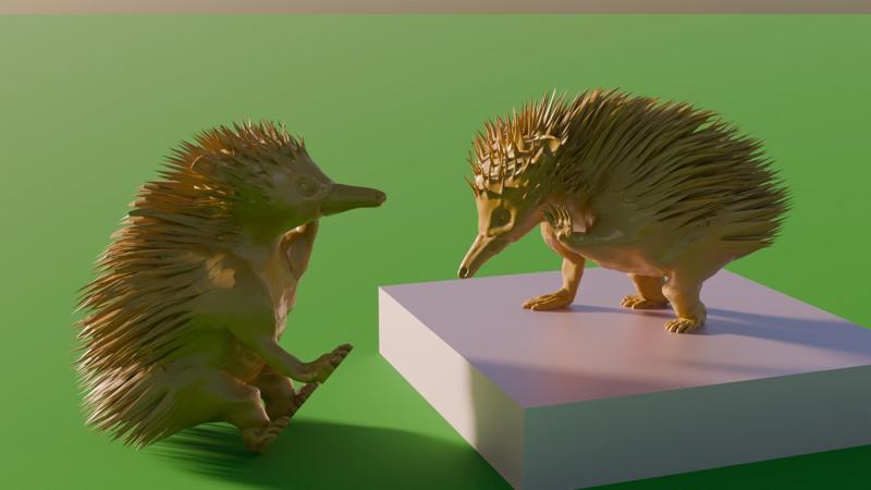 Spiky (Echidna, spiny-anteater) sitting